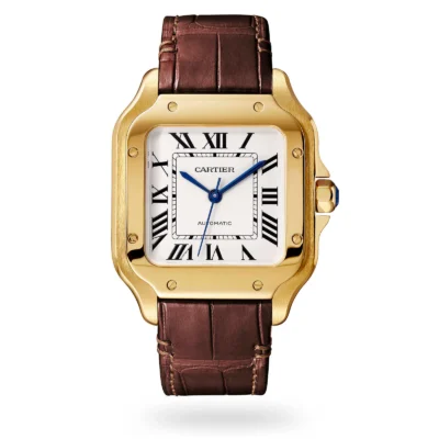 Cartier Santos 02 Medium (40mm) WGSA0011 piel marrón